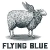 Flying Blue Flying Blue