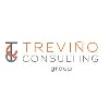 Trevino Consulting Group Trevino Consulting Group
