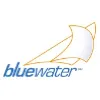 Bluewater - Transaction Advisors
