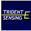 Trident Sensing Inc. Trident Sensing Inc.