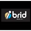 iBrid Insights