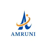 Amruni IT Solutions Private Limited