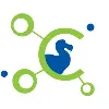 Codect Ltd Codect Ltd
