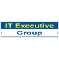 IT Executive