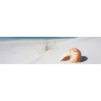Seaside Associates