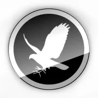 Falcontail Marketing & Design | Houston Texas USA