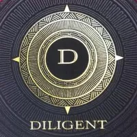Diligent Consulting