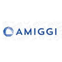 Amiggi, a business and technology consulting firm focused on Mobile, Enterprise and Cloud