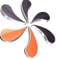 HCM Info Systems