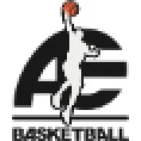 Athelite Basketball Academy