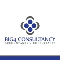 Big4 Consultancy