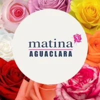 Matina Flowers S.A.S.