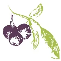 Huckleberry Branding