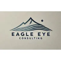 Eagle Eye Consulting, LLC