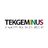 Tekgeminus