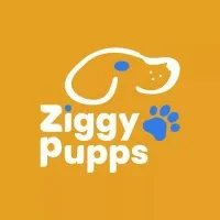 Ziggy Pupps  