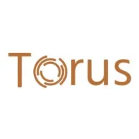 Torus IT Solutions Torus IT Solutions