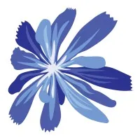 Sentinel Finance Group | CFO Services in Kansas City