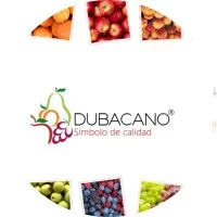 Dubacano, SA de CV Dubacano, SA de CV