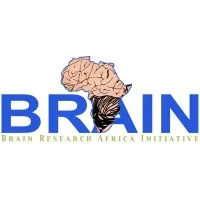BRAIN RESEARCH AFRICA INITIATIVE