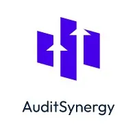 AuditSynergy