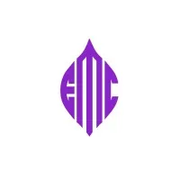E-MATRIX CORP