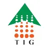 Towers International Group (TIG) Towers International Group (TIG)