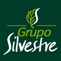 Grupo Silvestre email format