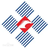 Bauing Group USA, Ltd.
