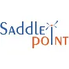 Saddle Point Technologies Saddle Point Technologies
