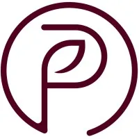 PAMT Jewellery & Lifestyles (I) Pvt Ltd