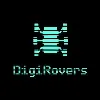 DigiRovers Solutions DigiRovers Solutions