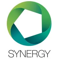 Synergy Development Group