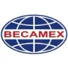 Becamex IDC