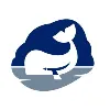 Whale Whale