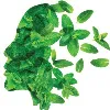 Cosmixxology Cosmixxology