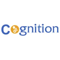 Cognition TechSystems
