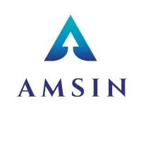 Amsin