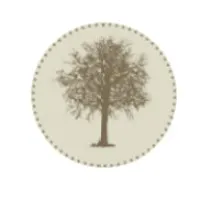 Callery Wealth Management Limited