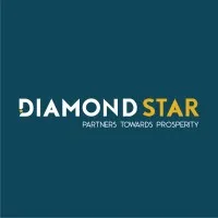 Diamond Star Financial Services