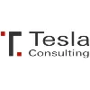 Tesla Consulting