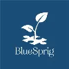 BlueSprig - formerly Thrive Autism Solutions BlueSprig - formerly Thrive Autism Solutions
