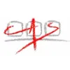 CAS - Computerized Analysis & Simulation CAS - Computerized Analysis & Simulation