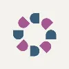 Deque Systems - APAC Deque Systems - APAC