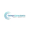 Catnyx Consultants Catnyx Consultants