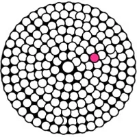Skin2Neuron