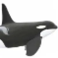 Radien Software