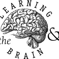 Learning and the Brain