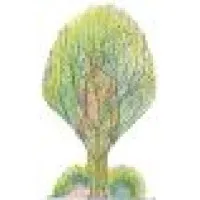 CGBMT - School of Simple Living