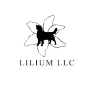 Lilium LLC
